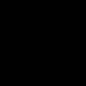 Meet your Posher, Aileen